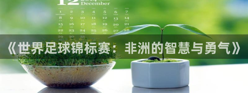 2026世界杯直播：《世界足球锦标赛：非洲的智慧与勇气》