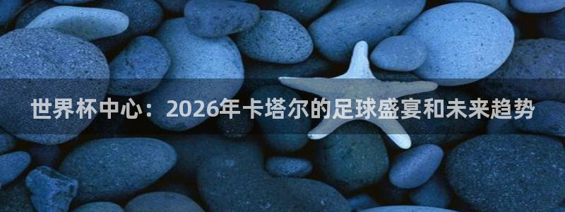 女足世界杯直播在线观看免费高清：世界杯中心：2026年卡塔尔的足球盛宴和未来趋势