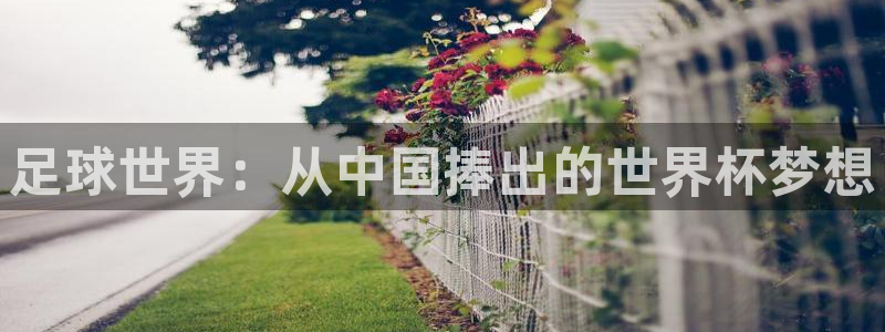 2026世界杯日期：足球世界：从中国捧出的世界杯梦想