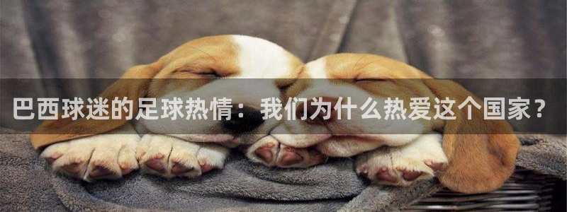 2026世界杯赛制：巴西球迷的足球热情：我们为什么热爱这个国家？