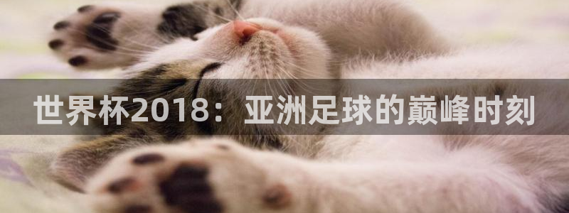 2026世界杯亚洲区预选赛赛程：世界杯2018：亚洲足球的巅峰时刻