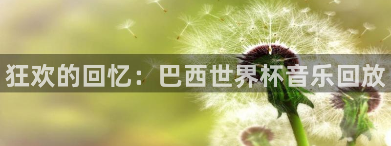 世界杯足球赛2026赛程时间：狂欢的回忆：巴西世界杯音乐回放