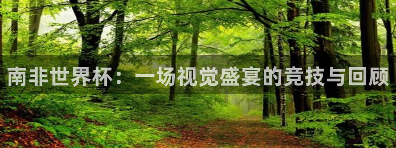 世界杯亚洲区预选赛赛程表：南非世界杯：一场视觉盛宴的竞技与回顾