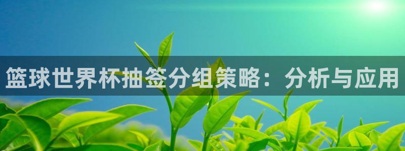 世界杯预选赛：篮球世界杯抽签分组策略：分析与应用