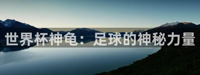 免费足球比赛直播高清：世界杯神龟：足球的神秘力量
