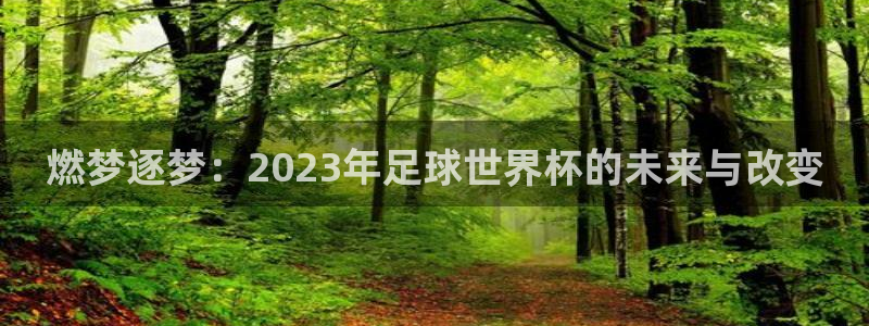 美洲杯直播：燃梦逐梦：2023年足球世界杯的未来与改变