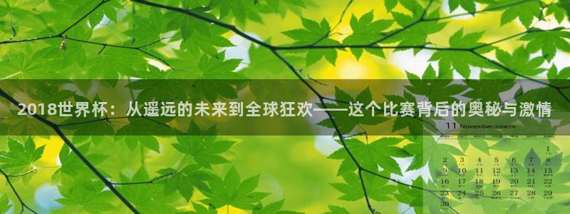 世界杯直播免费观看：2018世界杯：从遥远的未来到全球狂欢——这个比赛背后的奥秘与激情