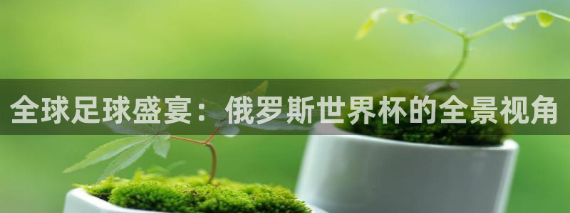 2026世预赛赛程：全球足球盛宴：俄罗斯世界杯的全景视角