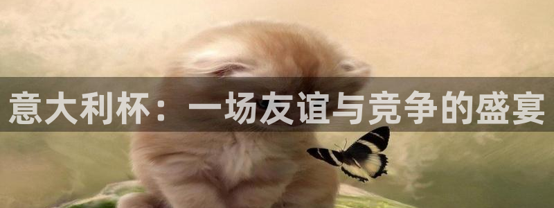 世界杯足球比赛：意大利杯：一场友谊与竞争的盛宴