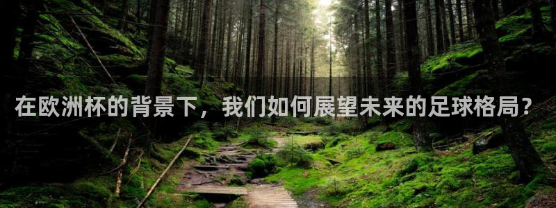 英足总杯直播：在欧洲杯的背景下，我们如何展望未来的足球格局？