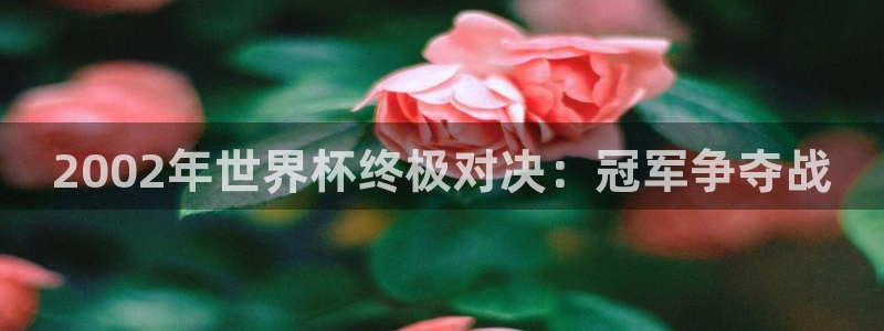 美洲杯直播：2002年世界杯终极对决：冠军争夺战