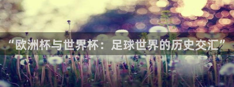 2026世界杯中国队：“欧洲杯与世界杯：足球世界的历史交汇”