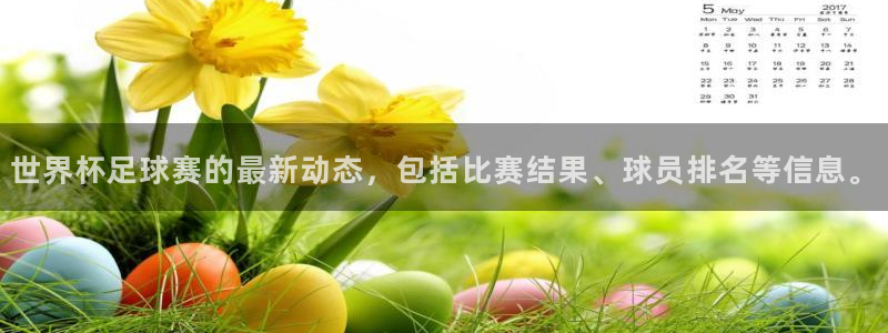 世界杯足球比赛：世界杯足球赛的最新动态，包括比赛结果、球员排名等信息。