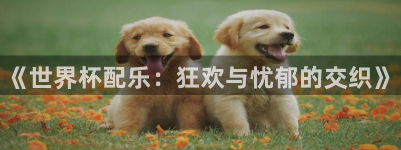 世界杯欧洲区预选赛赛程：《世界杯配乐：狂欢与忧郁的交织》