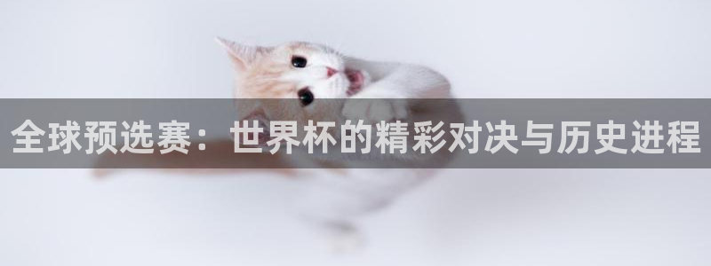 欧洲世界杯预选赛：全球预选赛：世界杯的精彩对决与历史进程